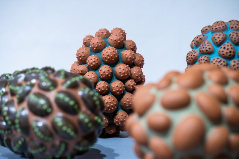 2026-03-10 - Exhibition - Common Ground - Installation Views-15